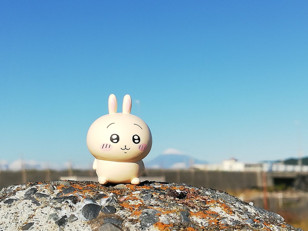 krr0808's tweet photo. 静岡旅行でやっと出会えたウサギ!
富士山を征服した感じで満足気な顔

#私の好きなちいかわキャラ https://t.co/w4f4siEG9B