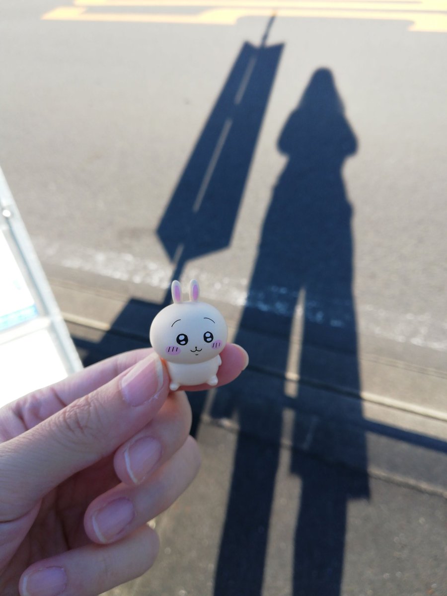 krr0808's tweet photo. 静岡旅行でやっと出会えたウサギ!
富士山を征服した感じで満足気な顔

#私の好きなちいかわキャラ https://t.co/w4f4siEG9B