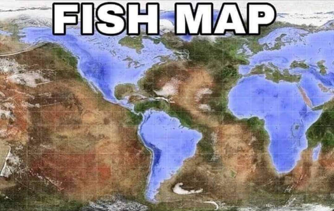 Fish Map!!! 😱😲