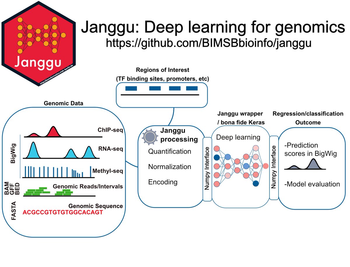 Altuna Akalin (@altunaakalin) on Twitter photo Our research article spearheaded by
<a href="/WolfgangKopp3/">Wolfgang Kopp</a> on #deeplearning for #genomics is listed as one of the top50 articles of 2020 in <a href="/NatureComms/">Nature Communications</a> (nature.com/ncomms/top50). The article is here: nature.com/articles/s4146… #NCOMTop50 Our research article spearheaded by
<a href="/WolfgangKopp3/">Wolfgang Kopp</a> on #deeplearning for #genomics is listed as one of the top50 articles of 2020 in <a href="/NatureComms/">Nature Communications</a> (nature.com/ncomms/top50). The article is here: nature.com/articles/s4146… #NCOMTop50