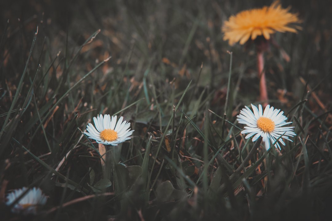 #spring