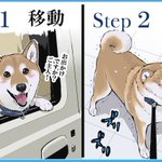 これもあなたのためですw愛犬の狂犬病予防接種の一連の流れが可愛すぎ!