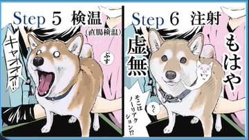 犬のおもしろ画像 217枚