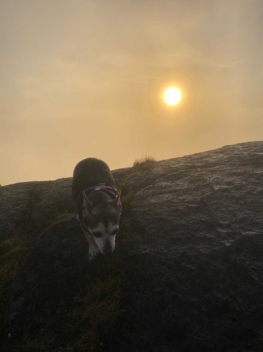 CarlingfordIRE's tweet photo. Sunrise from Slieve Foye this morning. Fantastic photos from @dmcge10. Well worth the 5:30 start!

@bbcniweather @coolfm @AimsirTG4 @WeatherRTE @ancienteastIRL @DiscoverIreland @EarthandClouds @ThePhotoHour @PicPoet @mountainwaysire @walkhikeireland @PictureIreland @Lovindotie https://t.co/o4pGekYdxz