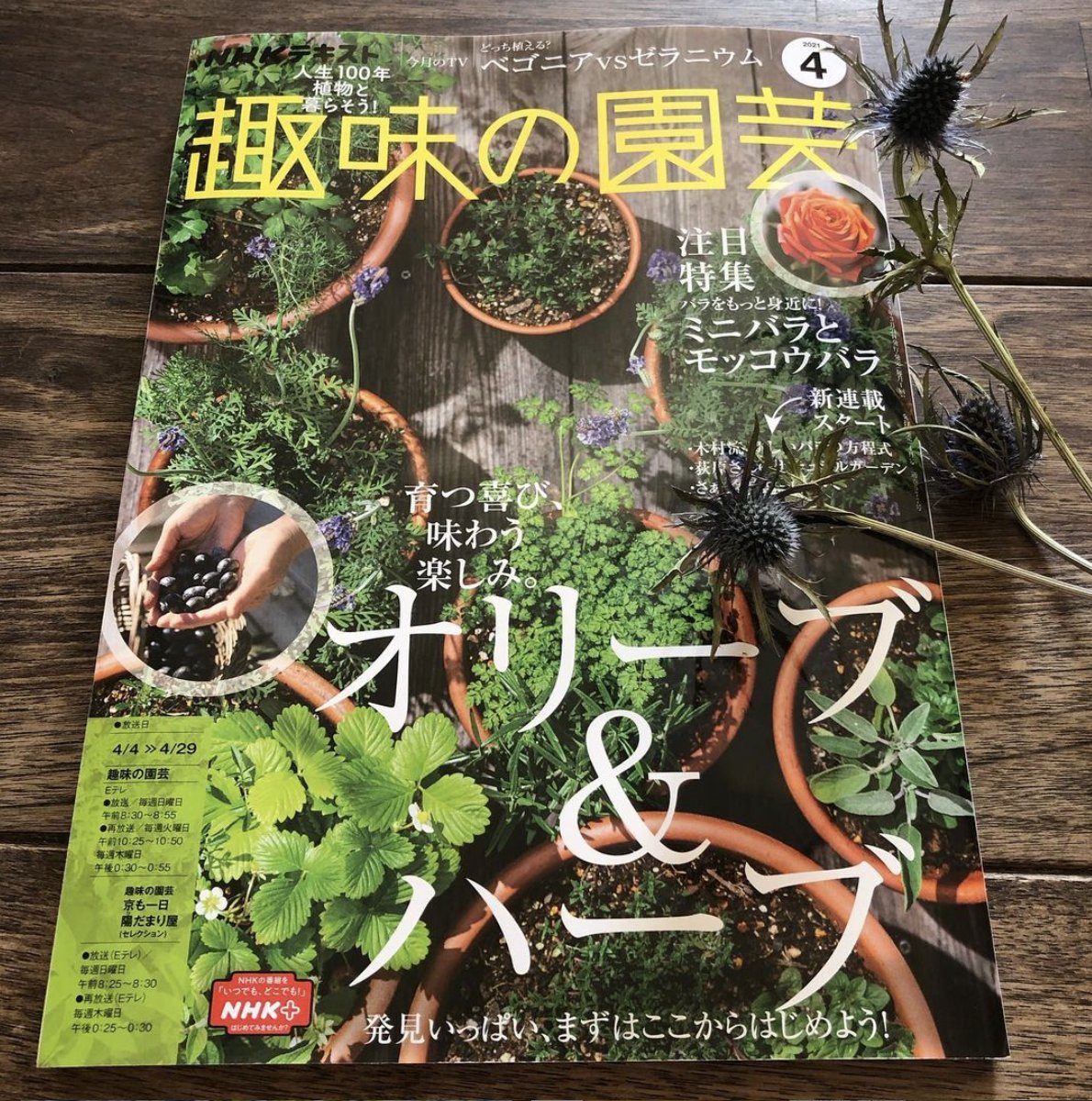 ｎｈｋ出版 趣味の園芸 Shumien Twitter