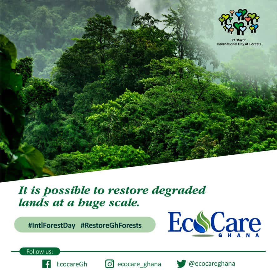 ecocareghana's tweet photo. Ghana hopes to restore 20,000 hectares  of degraded forests per year under the Ghana Forest Plantation Strategy. Restored degraded lands would create jobs and become highly productive again if restored with local tree species and other vegetation.
#IntForestDay #RestoreGhForest https://t.co/i7hxEWyo3O