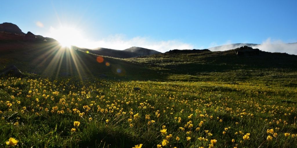 nordicwalkinguk's tweet image. Who will be celebrating with a lovely walk – today, it is the first day of spring! 

#NWUK #SpringHasArrived #NordicWalking