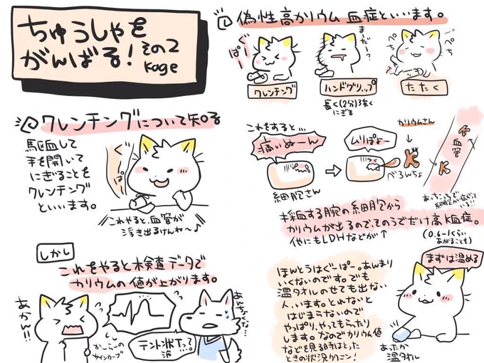 看護技術目めも🐱採血するときに注意するポイント💉クレンチングとか高K血症とか…!
患者さんに「見えるのになんでここ刺さないの?」とよく言われるけれど血管は見た目じゃないのです…🤔そして自主的にめちゃくちゃぐーぱーしてくれる人もいるけどしすぎにちゅうい…! 