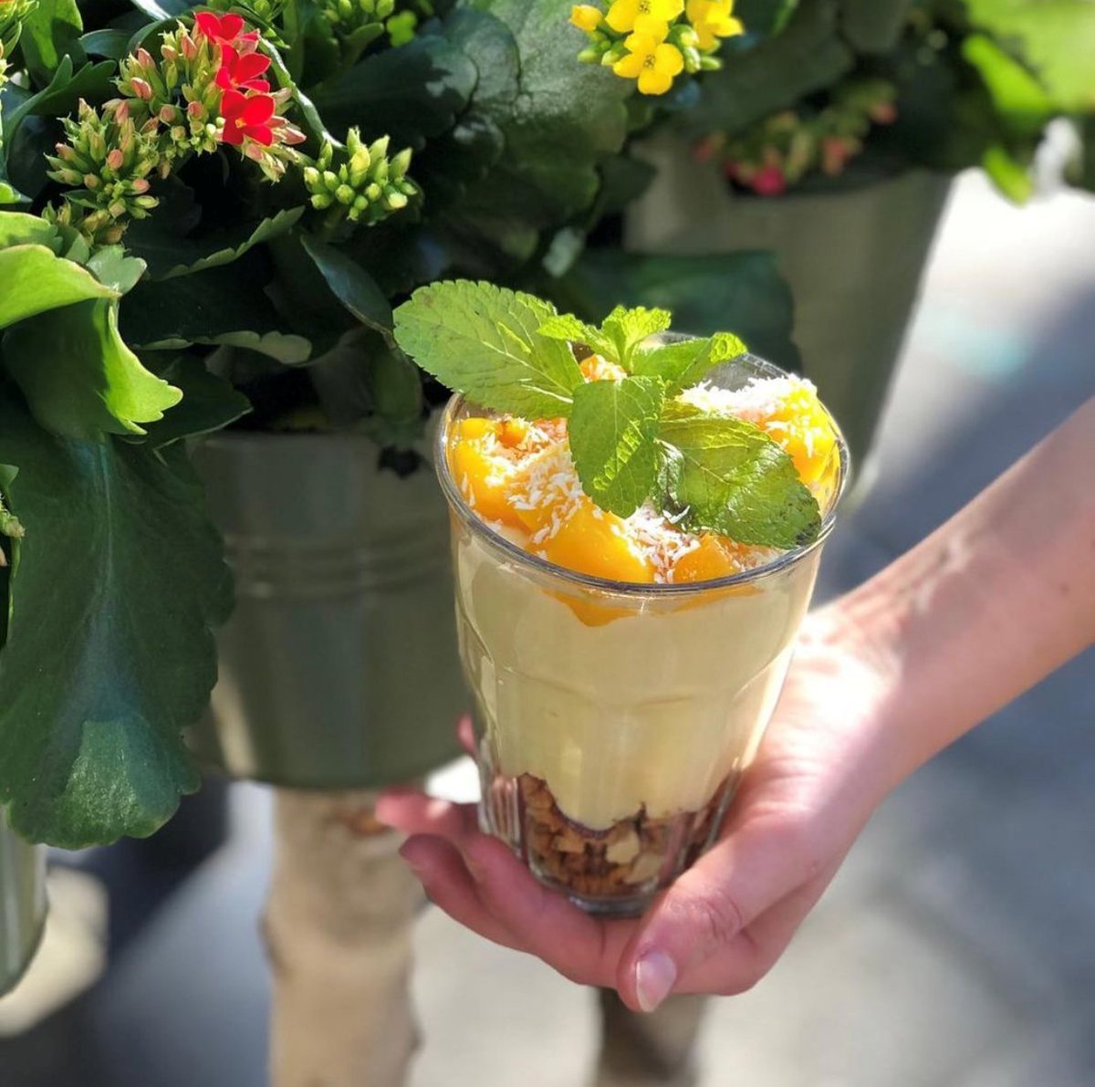 Het is Internationale dag van het geluk. Wist je dat we de kleur geel met vrolijkheid associëren en het eten van geel voedsel zorgt voor het aanmaken van meer gelukhormonen? 😀 Ga vandaag voor iets geels! Cheesecake, Magic Mango, bagel banaan, gele koek... Keuze genoeg! 💛