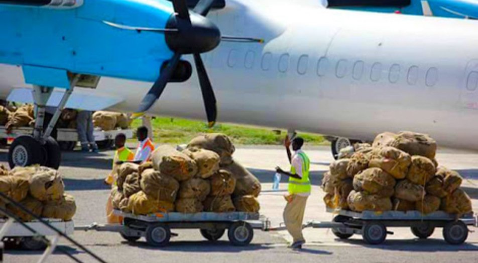LoveSomalia1's tweet photo. One year ago, Somalia 🇸🇴 totally banned khat flights from Kenya.

According to @Abukarawale who is anti-khat campaigner, in that year Somalia 🇸🇴 saved [ Kenya lost ] $607,500,000. Half Million.

Each day Kenya was getting more than $1Million from Somalis.

Well done @Somalia 👏👏 https://t.co/bb12Ot8hnJ