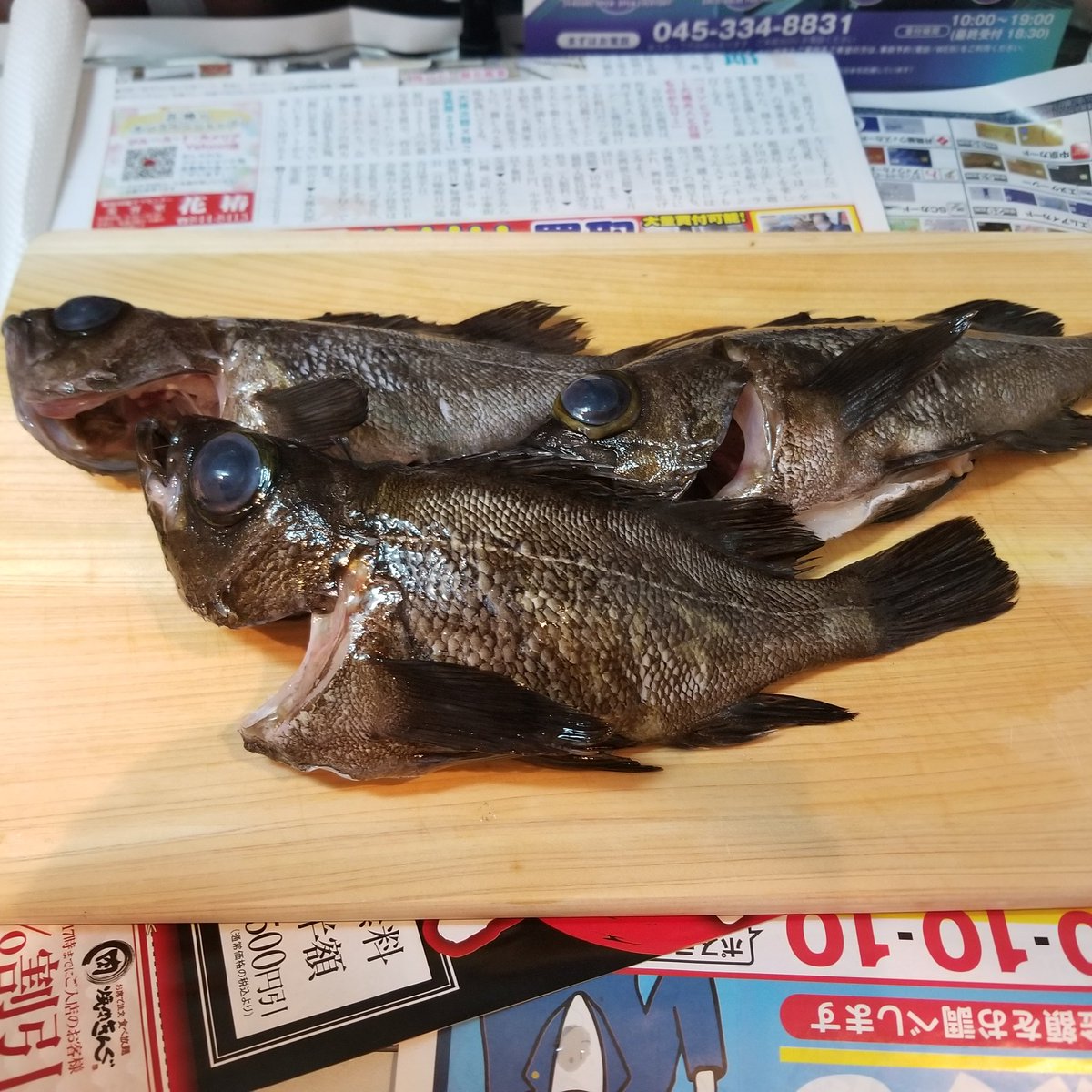 LifePinokio's tweet image. 昨日は釣り14時間して、今目覚めた久しぶりに時間を無駄にした気分だけど、ゆっくりできたので、これからブログ投稿頑張ります。
#釣り #ヨコザワテッパン #イワタニ #ブログ #ブログ書け