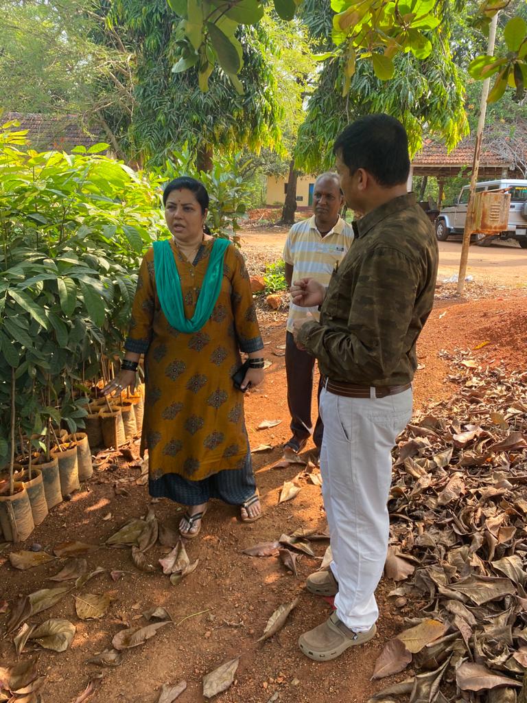 Inspection of nursery at Honnavara.