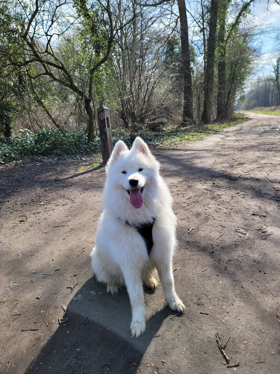 Maghla's tweet photo. Bonjour et bonne journée les BG et BGettes 🥰 https://t.co/fxLIu8gOk5