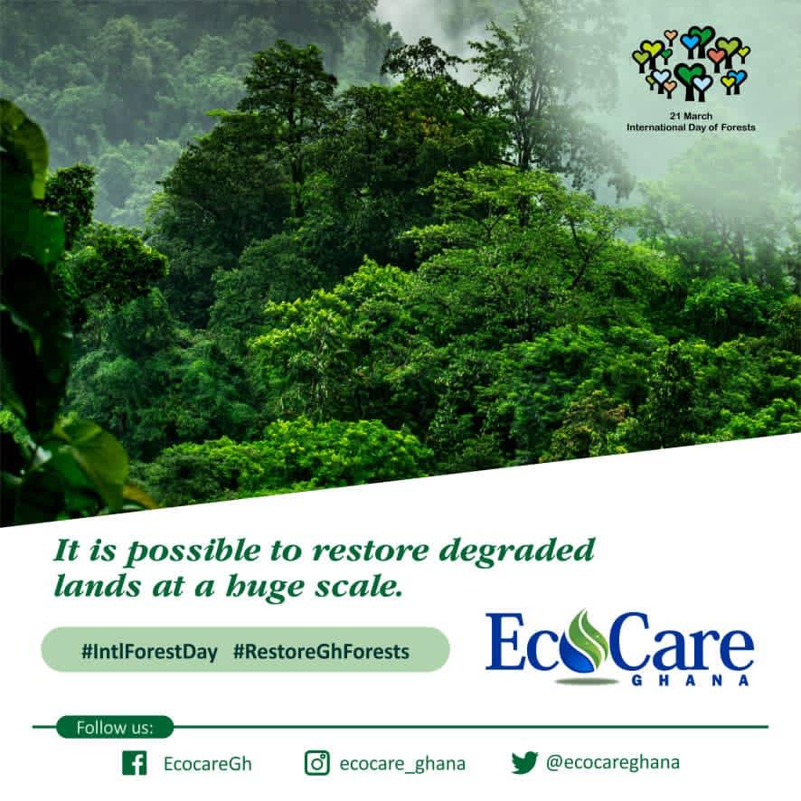 yawyeboah22's tweet photo. Ghana hopes to restore 20,000 hectares  of degraded forests per year under the Ghana Forest Plantation Strategy. Restored degraded lands would create jobs and become highly productive again if restored with local tree species and other vegetation.
#IntForestDay #RestoreGhForest https://t.co/FFw3oHcwfU