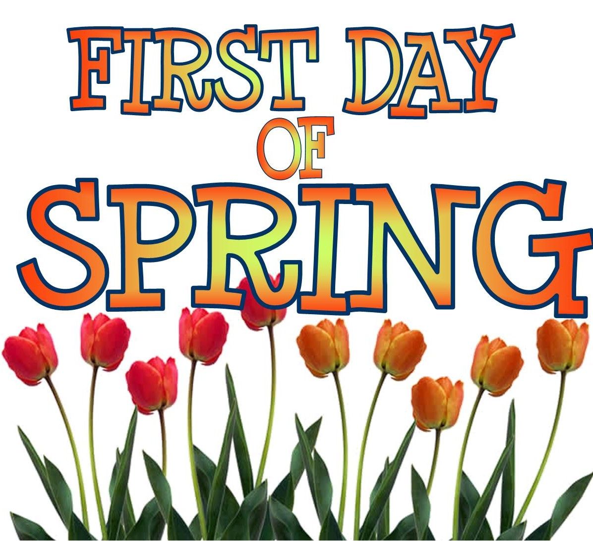 Happy first day of spring. First day of spring. Congratulations with first day of spring. Полевые цветы фон. Полевые цветы.