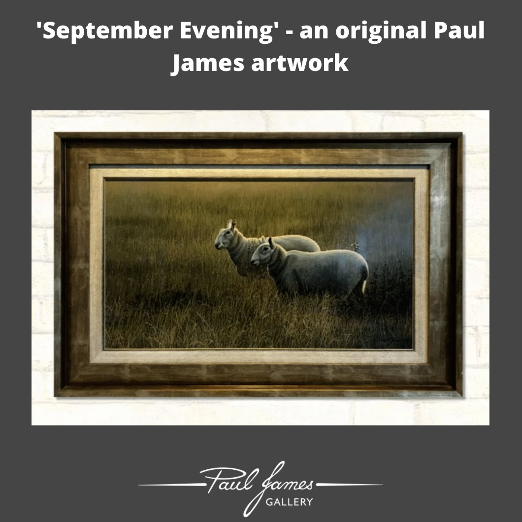 🐑‘September Evening’ is a very peaceful and graceful original artwork by Paul James, also part of his classic collection

❤️For more information regarding price and size, please get in touch with us on 01327 223400 or email team@pauljamesgallery.com 😄