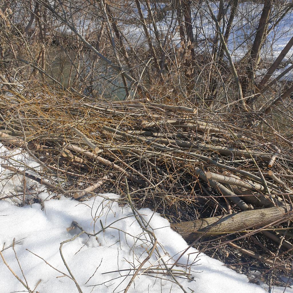 #Тула , река Воронка перед паводком, который обещали ооочень  сильным в конце марта, начале апреля. Район Московского вокзала. За шесть месяцев было три обращения  к #Дюмин по этому участку <a href="/KremlinRussia/">Президент России</a> <a href="/Pravitelstvo_RF/">Правительство России</a> <a href="/Tularegion71/">Правительство ТО</a>