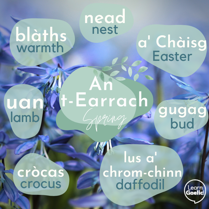 'S e a' chiad latha den Earraich a th' ann an-diugh! | It's the first day of #Spring today! 🌸

Learn a few words for Spring below and then check out Fichead Facal for even more - bit.ly/3cMi77U

Dè an rud as fheàrr leat mun Earraich? Innis dhuinn gu h-ìosal!