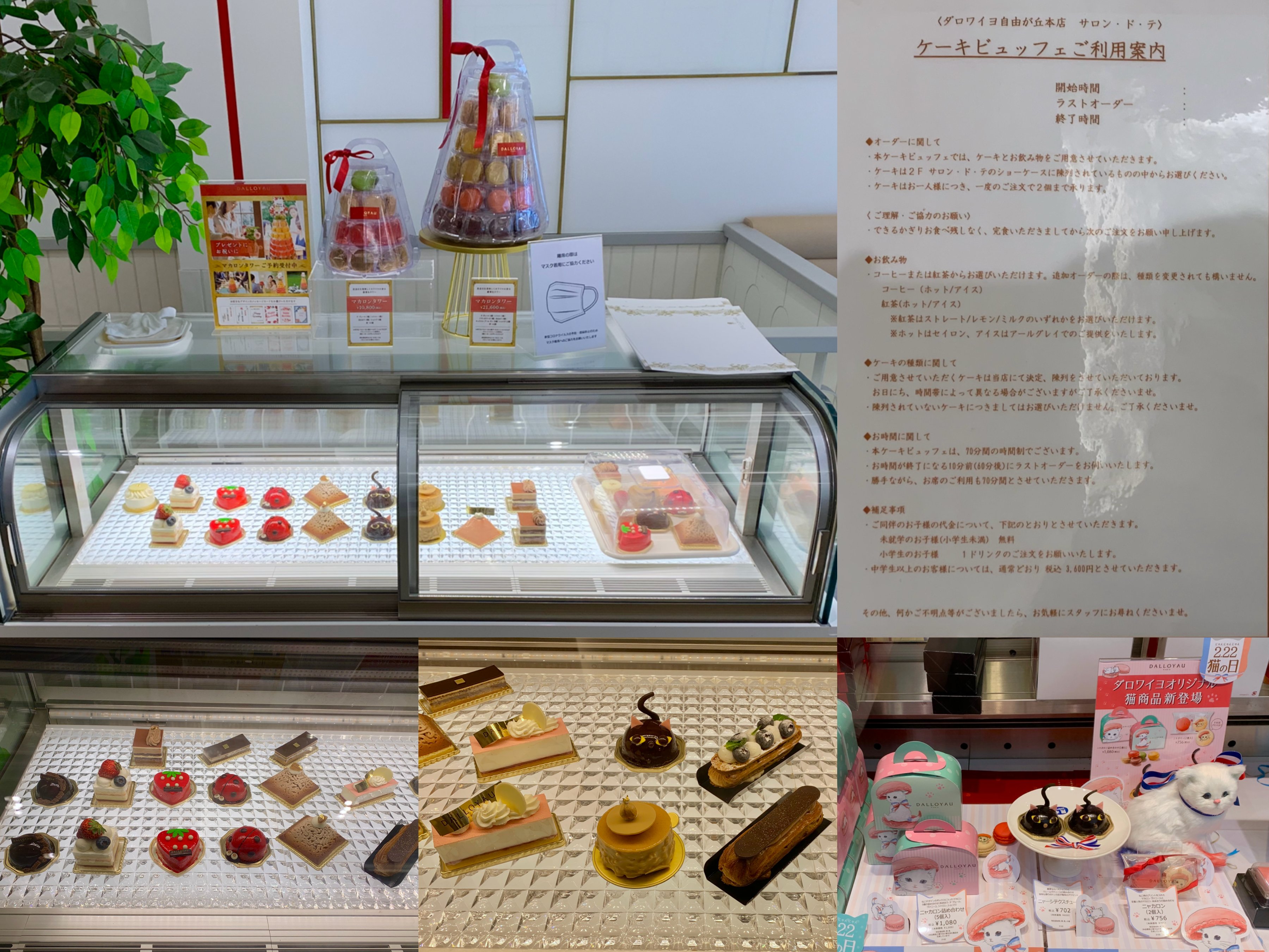 Rei 久しぶりの ダロワイヨ ケーキビュッフェ 現在は多分完全予約制で 土日祝は15 30か17 00から 猫の日終わったけど まだ猫ちゃんケーキがありました でもニャフェは完売 ジャージー牛乳とフランボワーズのパフェ食べてみたかった まぁ私