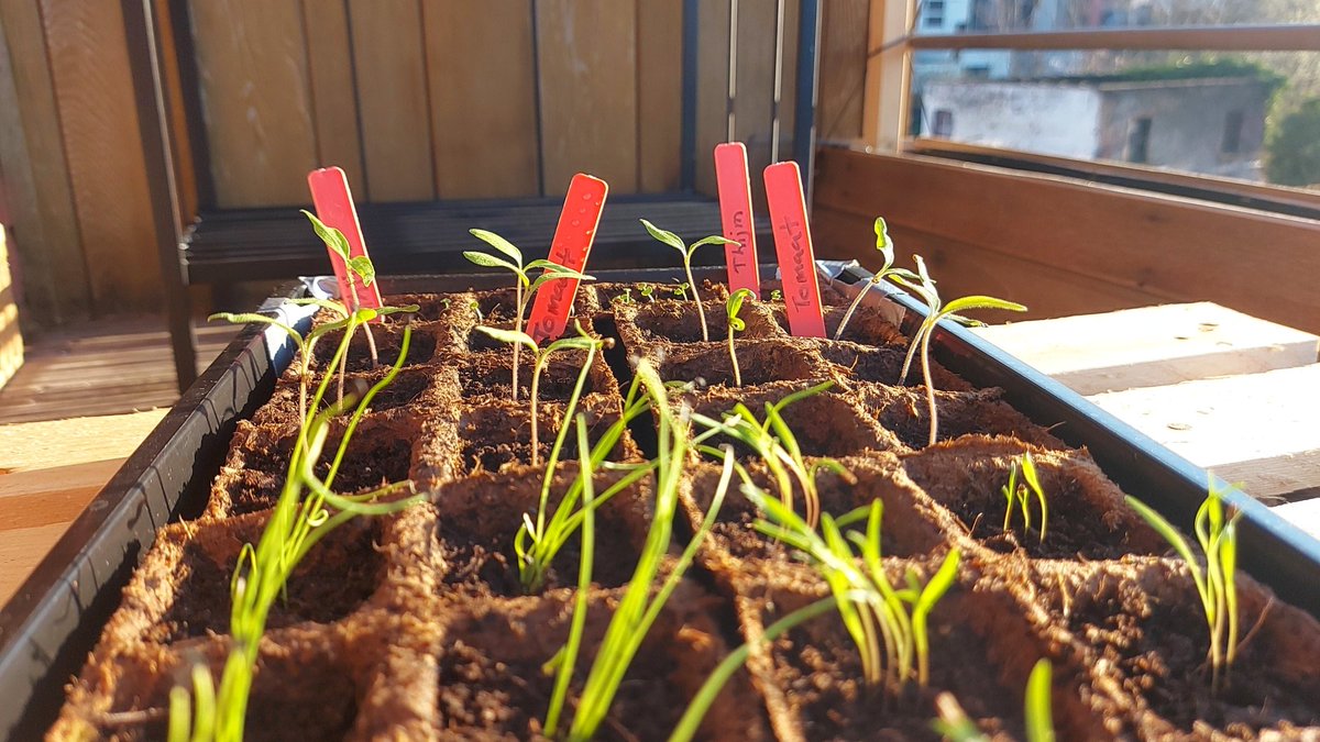 Reid Armansin tweet media