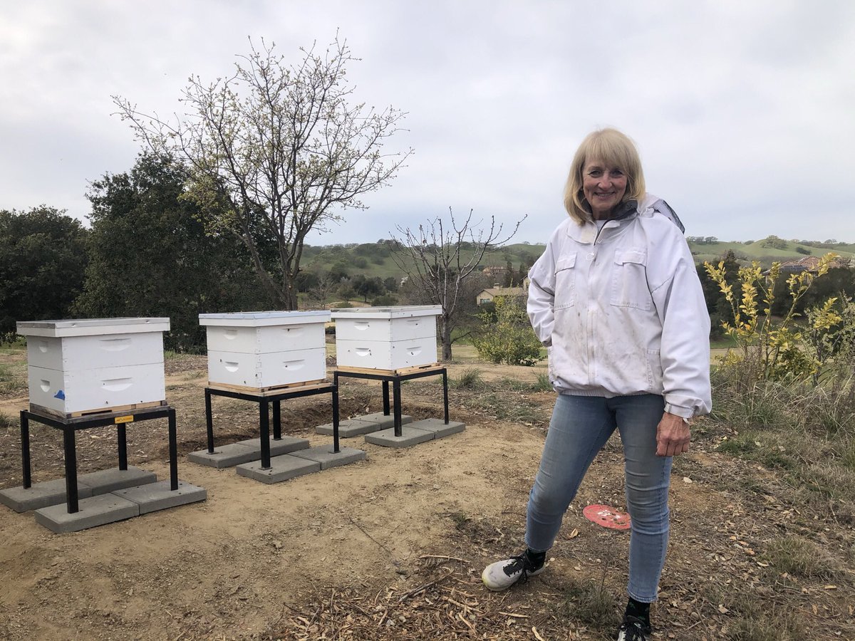 RubyAgronomy's tweet image. After a rather long pause from posting here we are back. We have joined the Bee keeping community with the installation of 3 hives. Many thanks to Bee expert Carla and Don Naumen for help with the set up