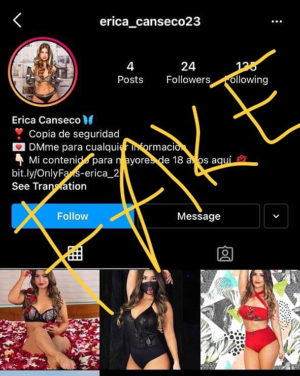 ErikaCansecoH's tweet photo. 📢 Atención 📢
Éstas dos cuentas son falsas
Hicieron un Only Fans con contenido pornográfico, y están subiendo algunas fotos mías para cobrarle a la gente, No sé dejen engañar.
Yo jamás haría un Only Fans y mi nombre no se escribe así "ERICA" por fa ayúdenme a reportarlas!! 😱😱 https://t.co/tsWmpZjb8W