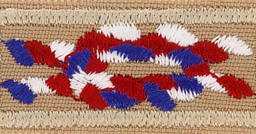 Did you know as a Scouter, you're eligible for this special knot, signifying you're an Eagle Scout? If you're a member of the <a href="/NESABSA/">NESA</a> you get one with a silver box around it! #MayEAglesForeverSoar #EMAW