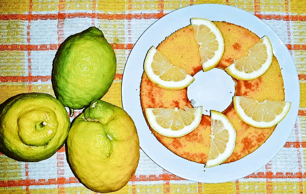 AbedHassoun's tweet photo. When life gives you lemon, you can make a moelleux au citron 🍋🍋🍋🍋🍋🍋🍋
#MakingCakes
#Baking https://t.co/vMdmHlFkUn
