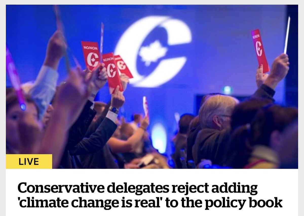 Shoebacca tweet media