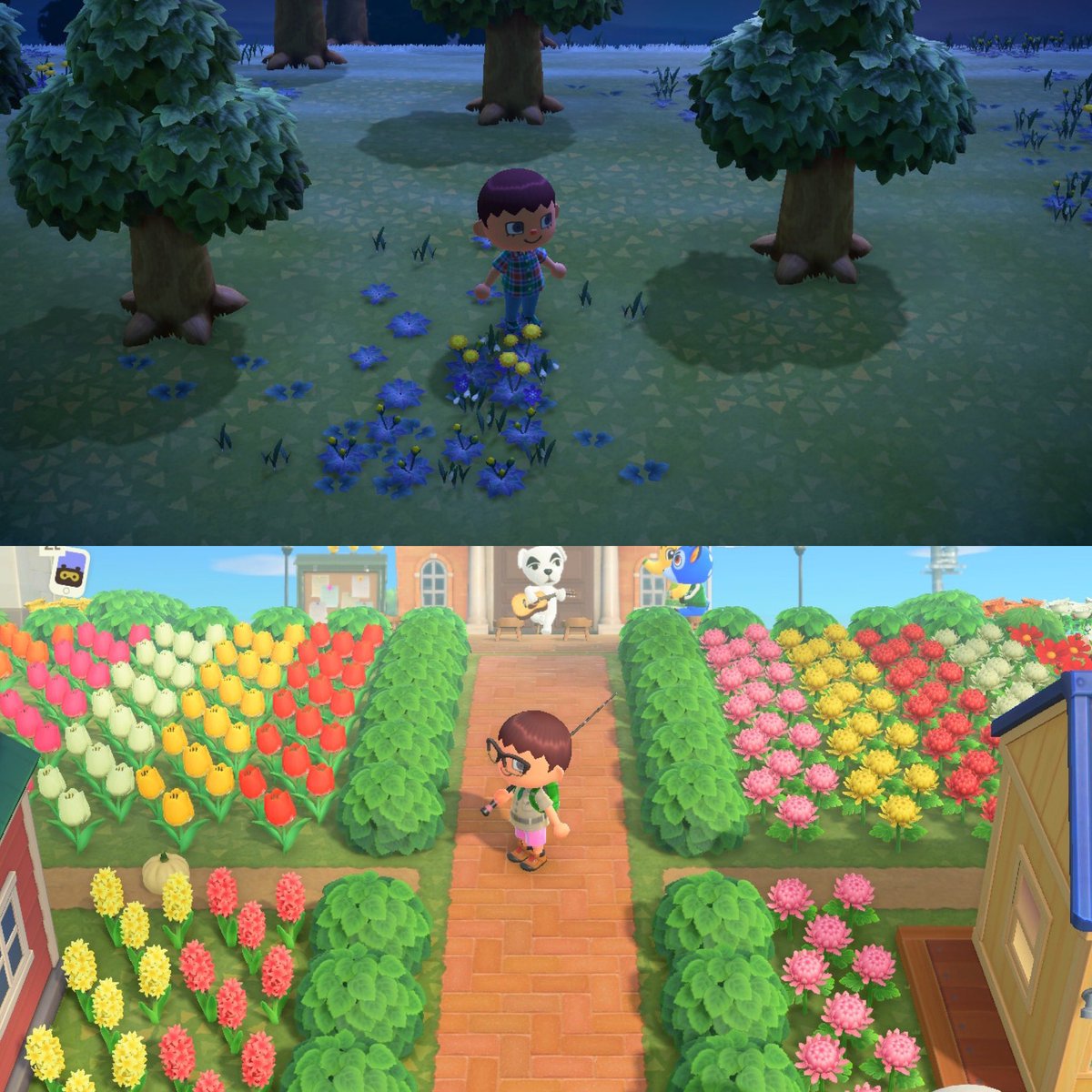 thetruebowser's tweet photo. What a difference a year makes - Happy 1st Anniversary #AnimalCrossingNewHorizons https://t.co/FLRouZ6SqQ