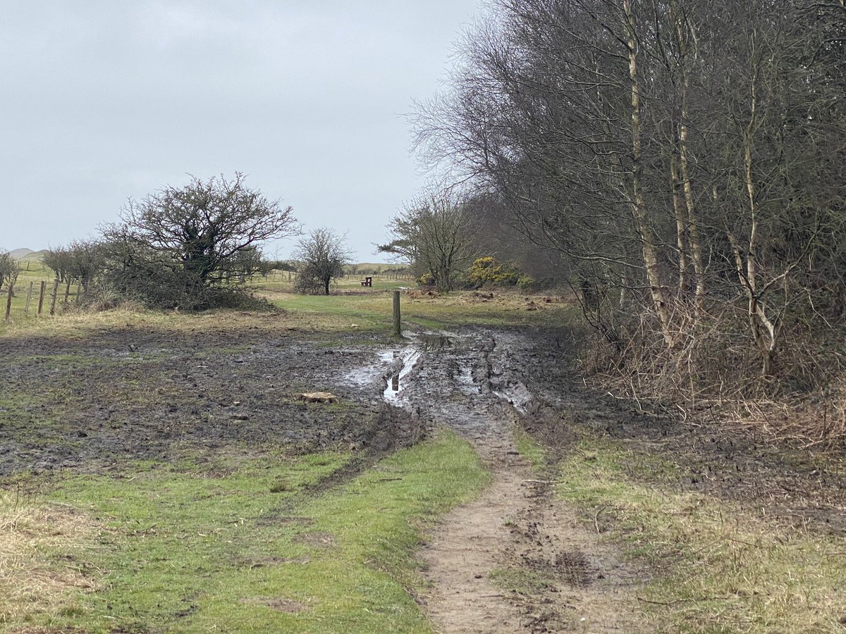 FONewboroughB's tweet image. If you are #stayinglocal and visiting the Warren / beach watch out if you access via Pen Lon. Huge puddles and lots of mud. Agility and boots required