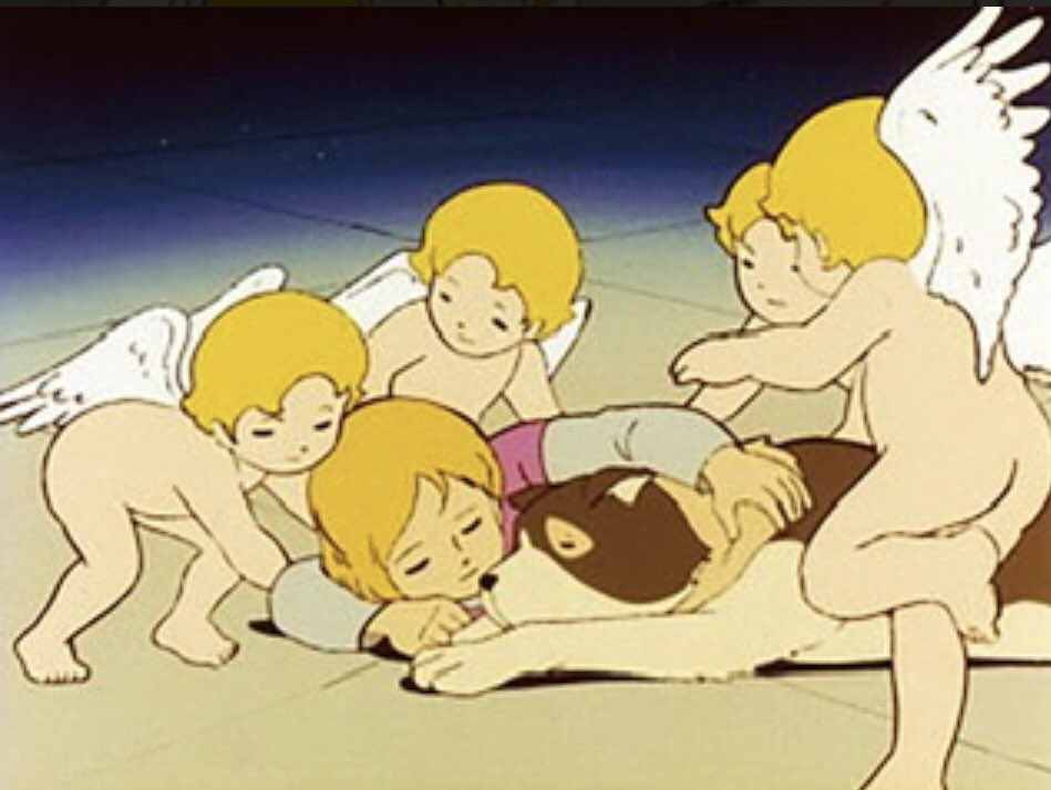 تويتر ちゃいこ على تويتر Nekonounanan Travellingsongs Marimon San どーせお迎えに来られるなら丸出し隊より こちらの羽のある方を希望します T Co Xhvek2rgwy