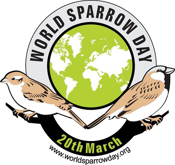 #diamundialdelgorrion #worldsparrowday