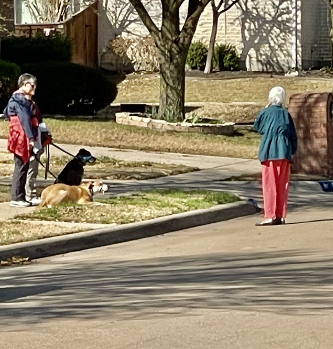 BatCrackin24sev's tweet image. Grassroots campaigning in our neighborhoods! Families are spring cleaning, picnicking on the front lawn, playing catch, riding bikes... you name it. Most are aware of the advocacy and service Jamia Hall and Dr. Jared Williams bring to our neighborhoods. Real people 👊🏾🧩📈