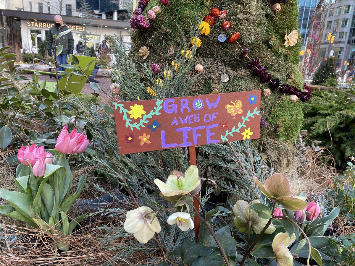 CCDParks's tweet image. Happy Spring 🌸🌷🌼 Our beautiful Wintergarden on the Greenfield Lawn welcomed the change of season with a special guest, our friend the Flower Fairy 🧚‍♀️ 

As always: ⁣
Mask up 😷 ⁣
Keep 6ft of social distance ↔️ ⁣
Stay home if you’re sick 🤒⁣