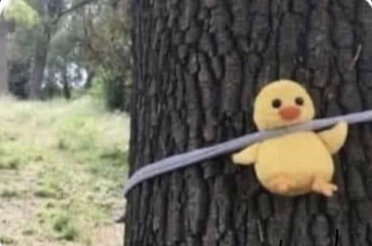 #انصفوا_طلاب_الجامعات