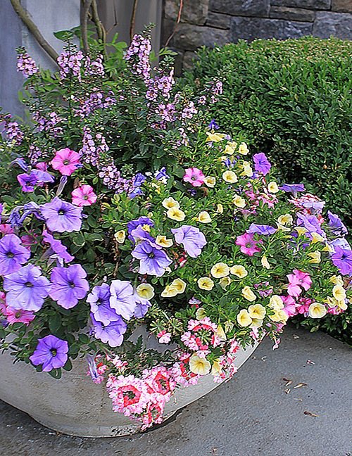 Happy 1st day of spring! A perfect time to get out and add some color and spring flowers. Get some great tips with FLORATOPIA, a new book from <a href="/janjohnsen23/">Jan Johnsen</a> Hear about it on this <a href="/GILNetwork/">GILN</a> podcast episode …industryleadersnetwork.simplecast.com/episodes/flora…