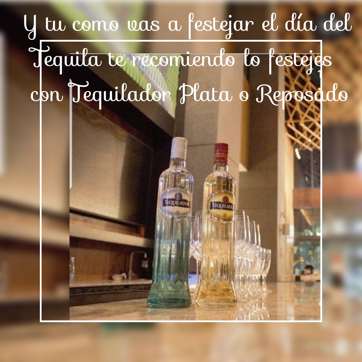 Festeja hoy el día Nacional del Tequila con @tequilador #tequila #tequilador #cancun #cancún #cancunmexico #cancun🌴#ayb #cancun🇲🇽 #teq #tequilanaweber   #tequilas #tequilajalisco  #tequilatequila   #destilados #destiladosdeagave #RivieraMaya #rivieracancun #destiladosmexicanos