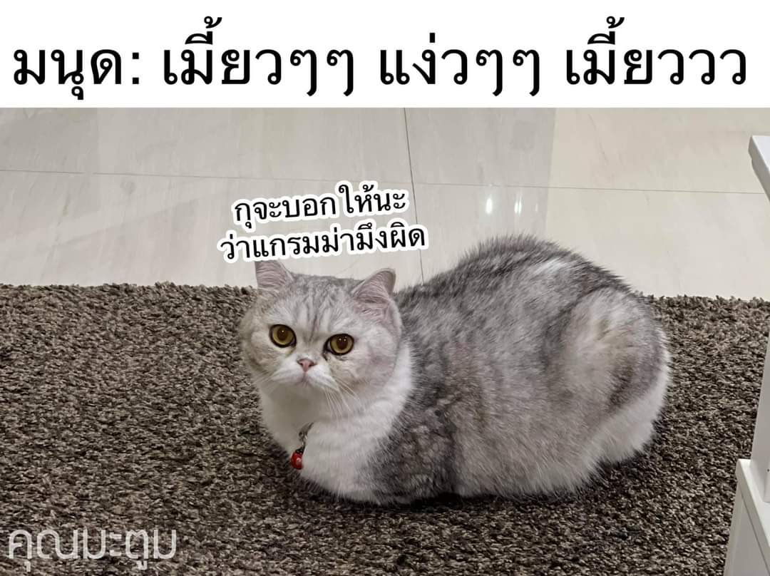 KR tweet media