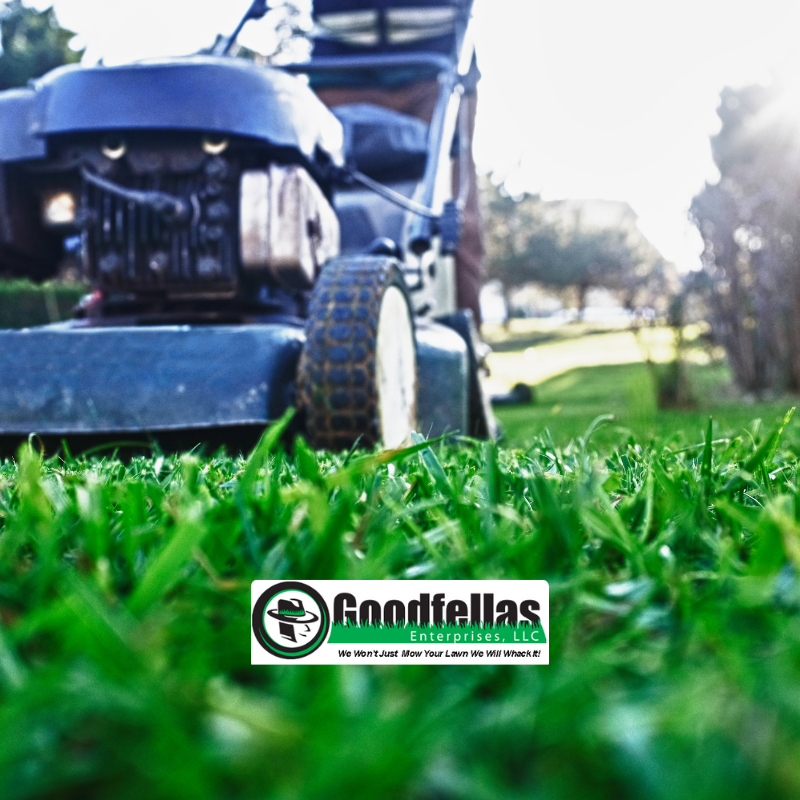 Happy first day of spring! 5 Essential Spring Lawn Mower Maintenance Tips: todayshomeowner.com/5-essential-sp…