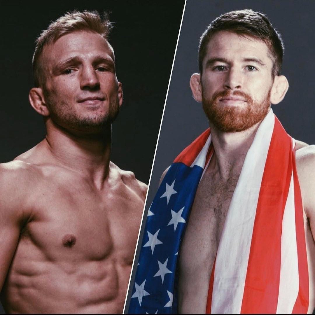 BigFightsFan's tweet photo. We have our headliners for the May 8th and May 22nd cards.
Cant wait to see Cody back after so long plus TJ vs Sandman is going to be 🔥 https://t.co/Wsudv2r4Wx