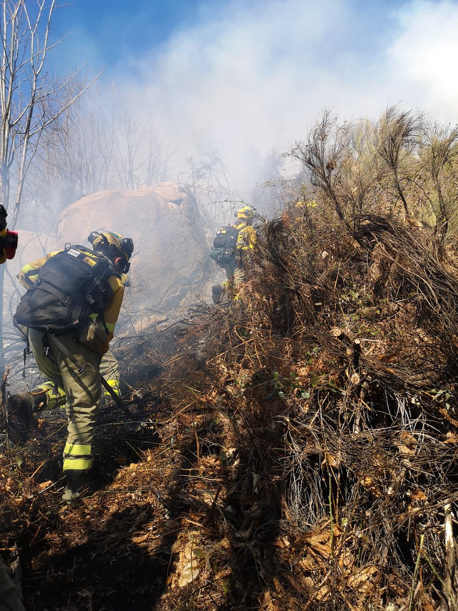 AT_Brif's tweet photo. 13:17📸#IFRebollar #Cáceres
Los #BomberosForestales @BRIF_PINO continuan trabajando en labores de consolidación de perimetro de cola a cabeza en el incendio forestal de Rebollar, que se encuentra así en estos momentos.
#IIFF
Somos #BRIF de @mitecogob https://t.co/akZwC87fE0
