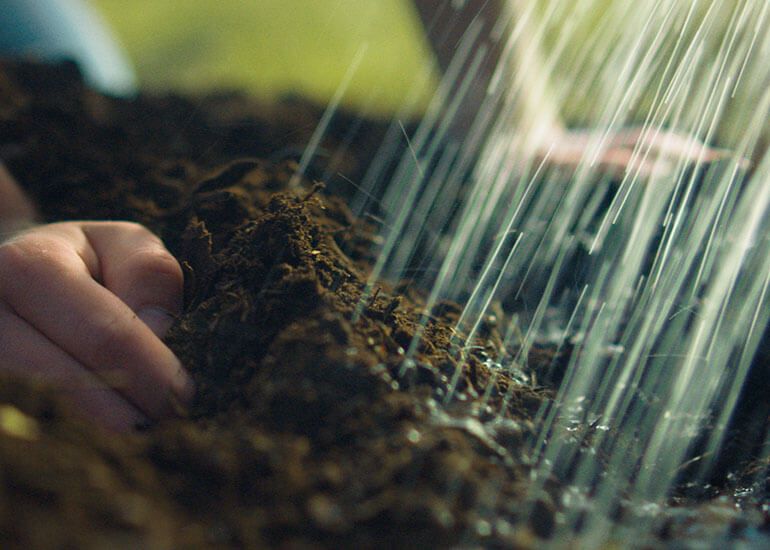 mightylittlebox's tweet image. Free seeds to save the bees. Cheerios is giving free sunflower seeds to Canadians.  Visit cheerios.ca/bringbackthebe… #savethebees #bringbackthebees