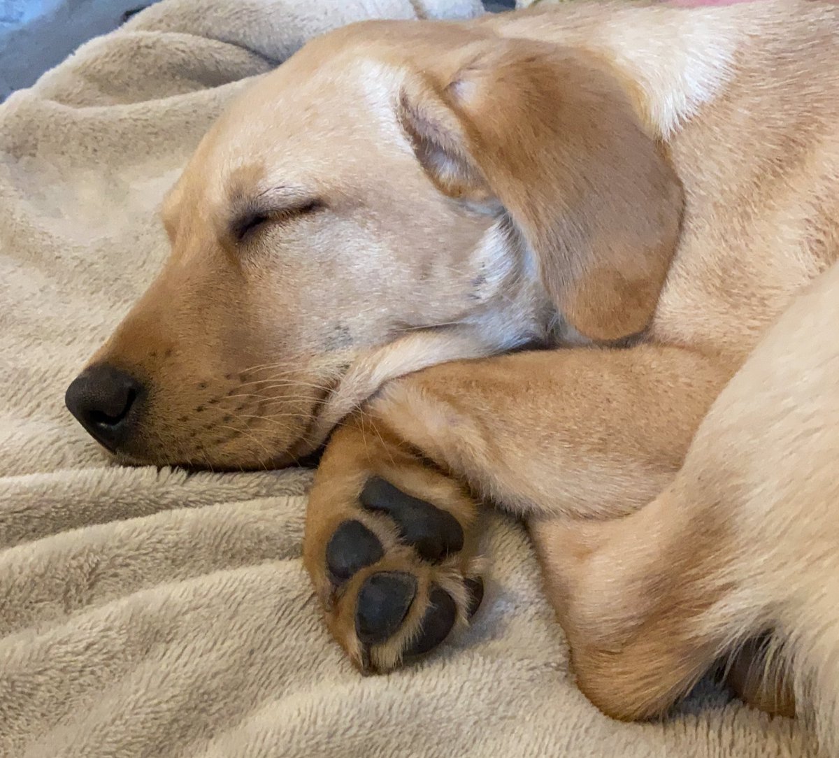 AFM_History's tweet image. The best Saturday...