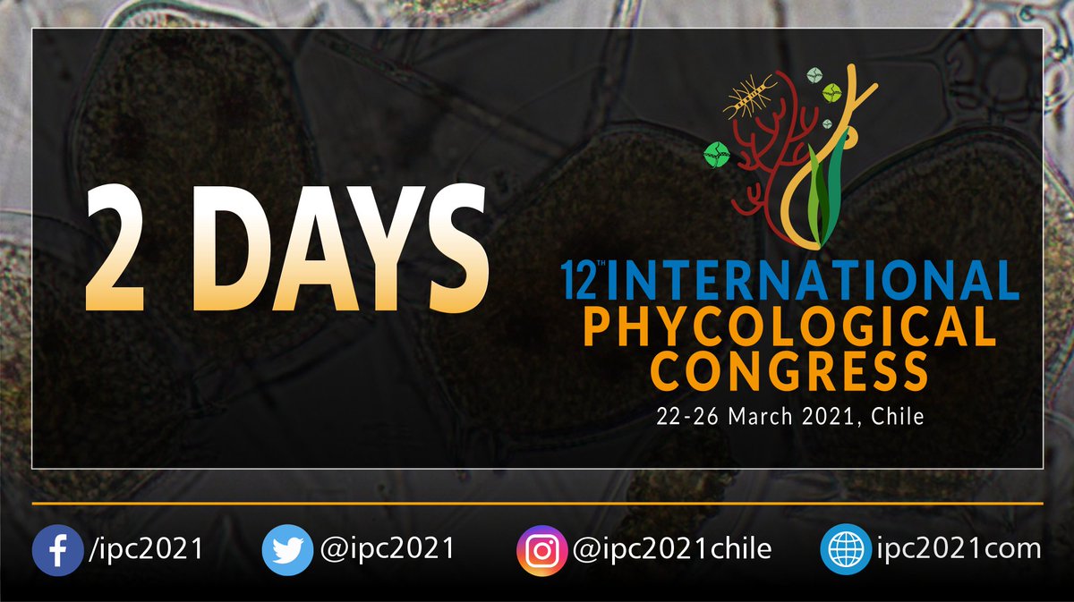 12th International Phycological Congress #IPC2021 Chile, count down is ON!😮
2 days to go!🙌
.
#Chile #alga #seaweed #algaltechnology #microalgae #algae #algas #ficologia #phycology
