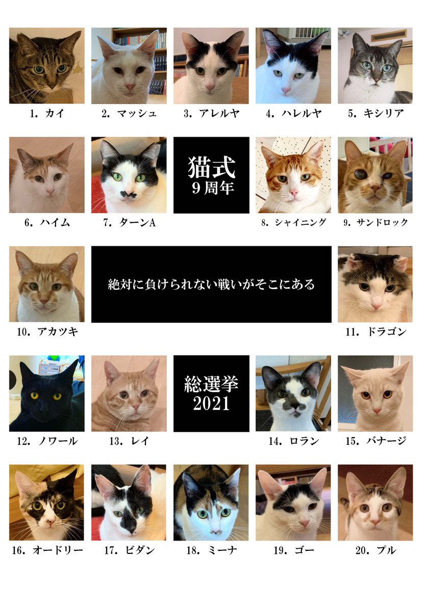 猫式 溝の口の保護猫カフェ 猫式総選挙 投票用twitter カレンダー登場権をかけた猫式総選挙 開始です 画像拡大推奨 猫式をフォロー後 推す猫の番号または名前を Rt コメントか 引用rtで記入して下さい その他の投票方法やルールは 猫式 溝の口の保護猫カフェ 猫式総選挙 投票用twitter カレンダー登場権をかけた猫式総選挙 開始です 画像拡大推奨 猫式をフォロー後 推す猫の番号または名前を Rt コメントか 引用rtで記入して下さい その他の投票方法やルールは