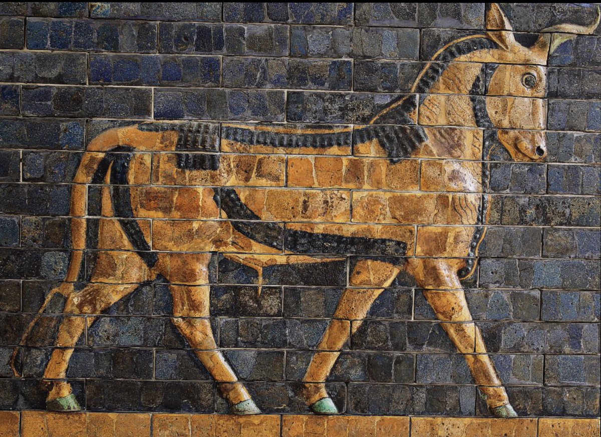 ancienthisto's tweet photo. Babil şehrinin İştar Kapısından, kabartmalı rölyef (M.Ö 604-562)
Babil kralı 2. Nabukadnezar'ın, Tanrıça İştar'a ithaf etmesi nedeniyle, ‘İştar Kapısı’ olarak adlandırılır. Babildeki tören yoluna ait 12 metrelik bir kapının parçalarıdır. https://t.co/VMYRTfTyxv