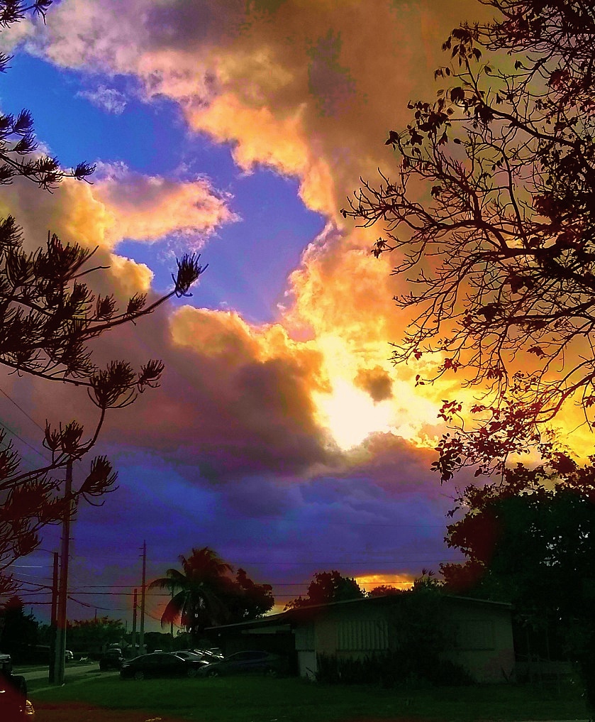 JorgeGNYCMIA's tweet photo. @JorgeG179 #Miami #Sky #Clouds #Sunset #Palmtrees #Pinetreebranches #photodaily #photography #photooftheweek #photosession #skyphotography #streetphotography #lensflare #SunsetOneEvening #riseandshine https://t.co/qTmrpYs3gx