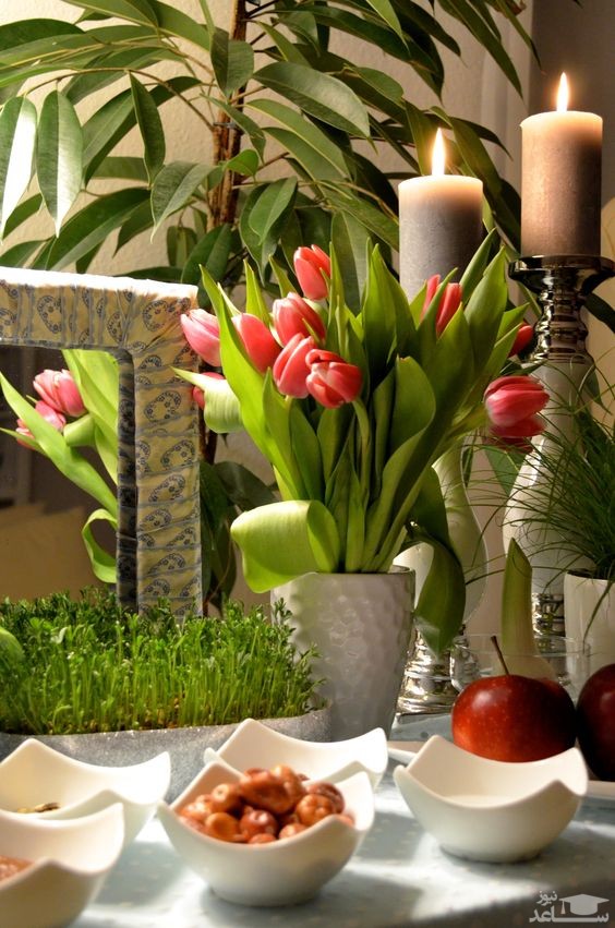 AliBiomech's tweet photo. Happy #Nowruz and new #persian year 
Hope new year will be full of health and success to all 🌺
#نوروز پیروز https://t.co/dpB4GtXeeQ
