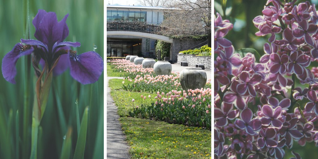 Today #spring arrives which is good news. Although the grass isn't yet green and the flowers and blooms aren't out, we know it's on its' way! Get outdoors and enjoy; spring is in the air! #BurlON
<a href="/MariannMeedWard/">Marianne Meed Ward</a>